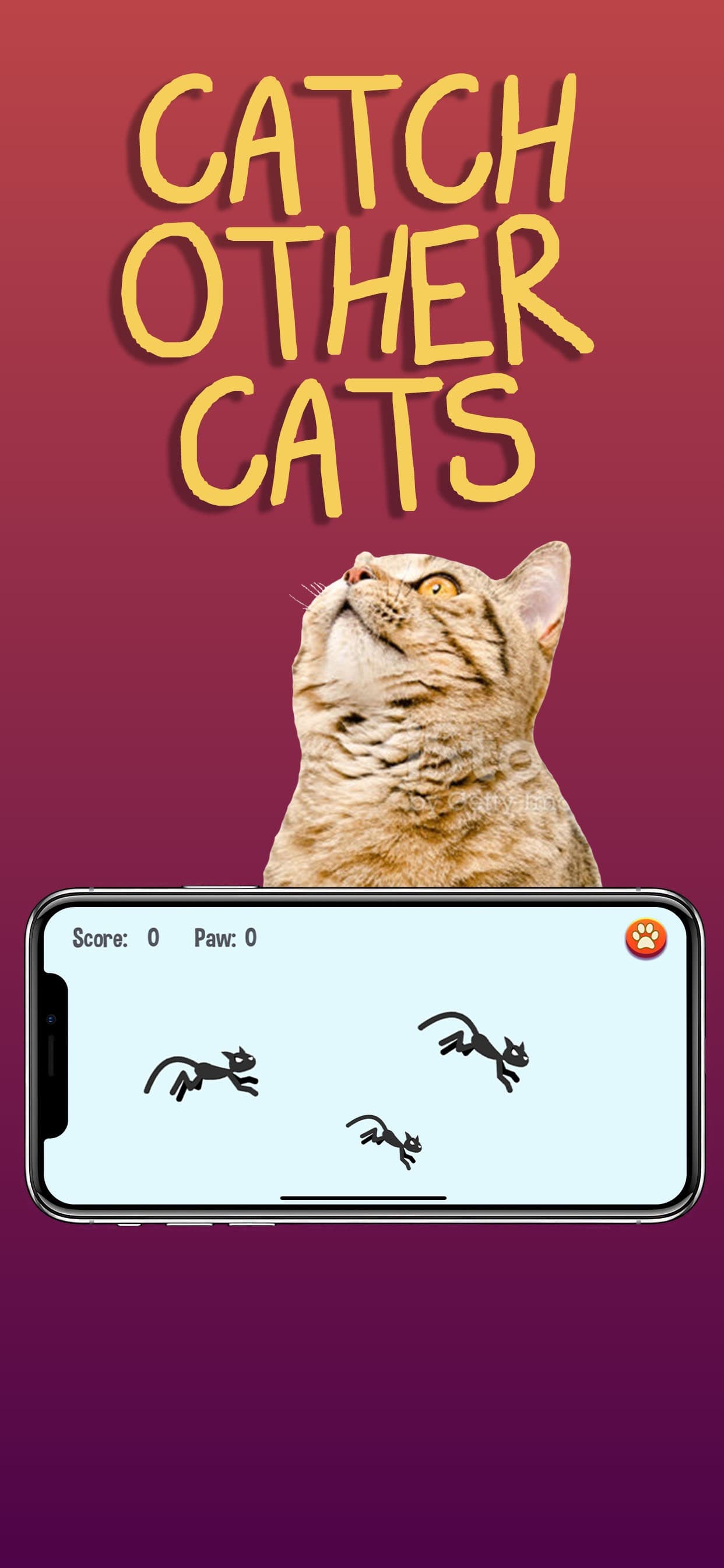 Cat Games screenshot 6 - screenshot