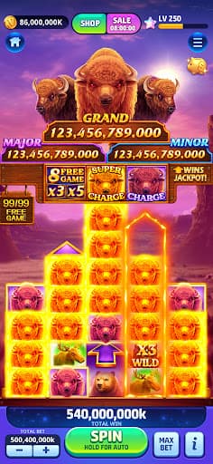 Vegas Frenzy screenshot 4 - screenshot