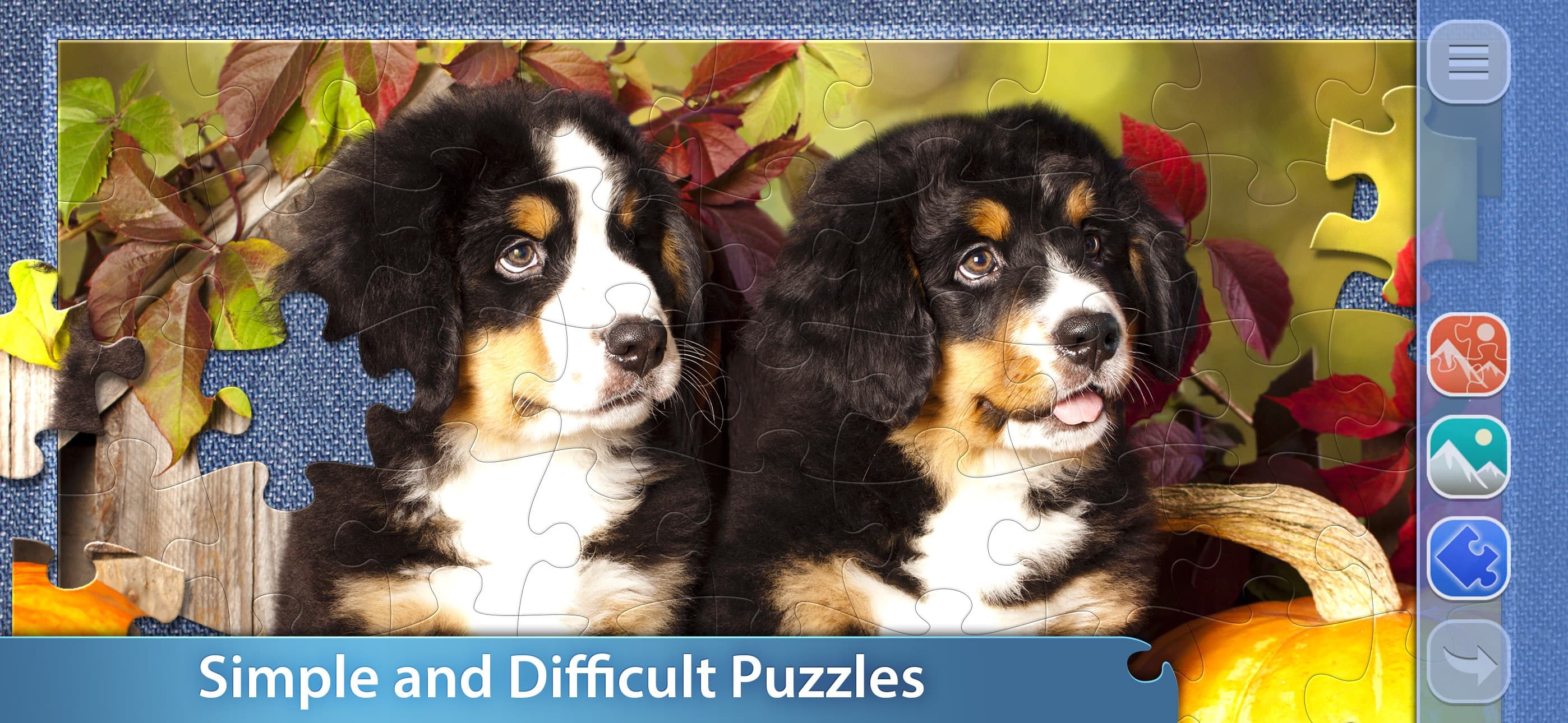 Jigsaw Puzzle Club for Adults screenshot 4 - screenshot