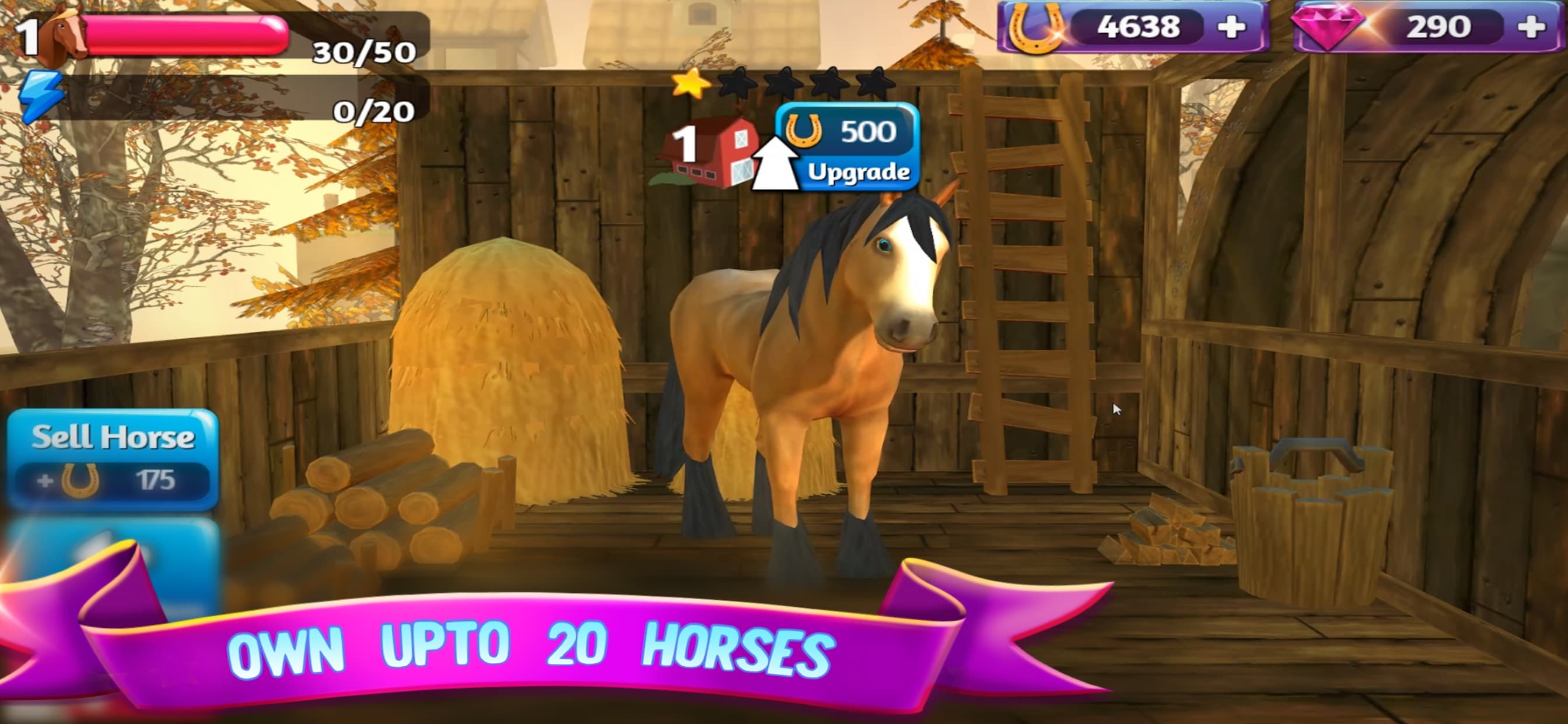 Horse Paradise: My Dream Ranch screenshot 6 - screenshot