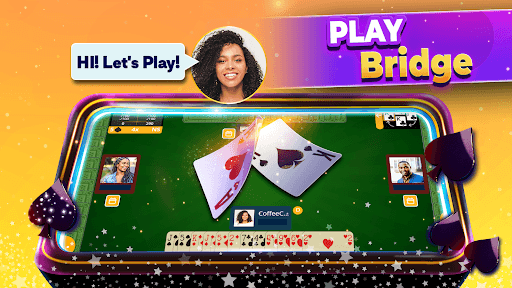 VIP Spades & Rubber Bridge screenshot 26 - screenshot