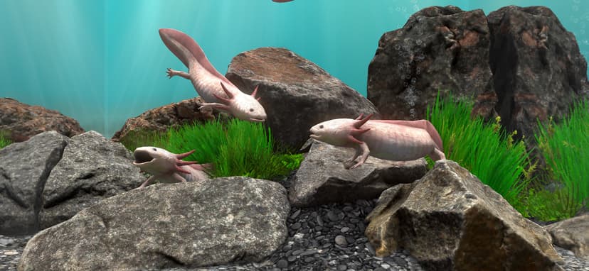 Fish Farm 4: 3D Aquarium screenshot 2 - screenshot