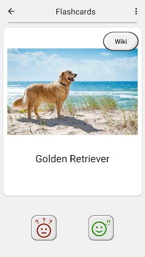 Dogs Quiz - Guess All Breeds! screenshot 10 - screenshot