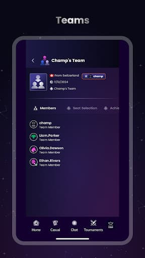 Bridge Champ screenshot 13 - screenshot