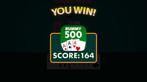 Rummy 500 - Card Game screenshot 15 - screenshot