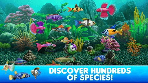 Fish Tycoon 2 Virtual Aquarium screenshot 2 - screenshot