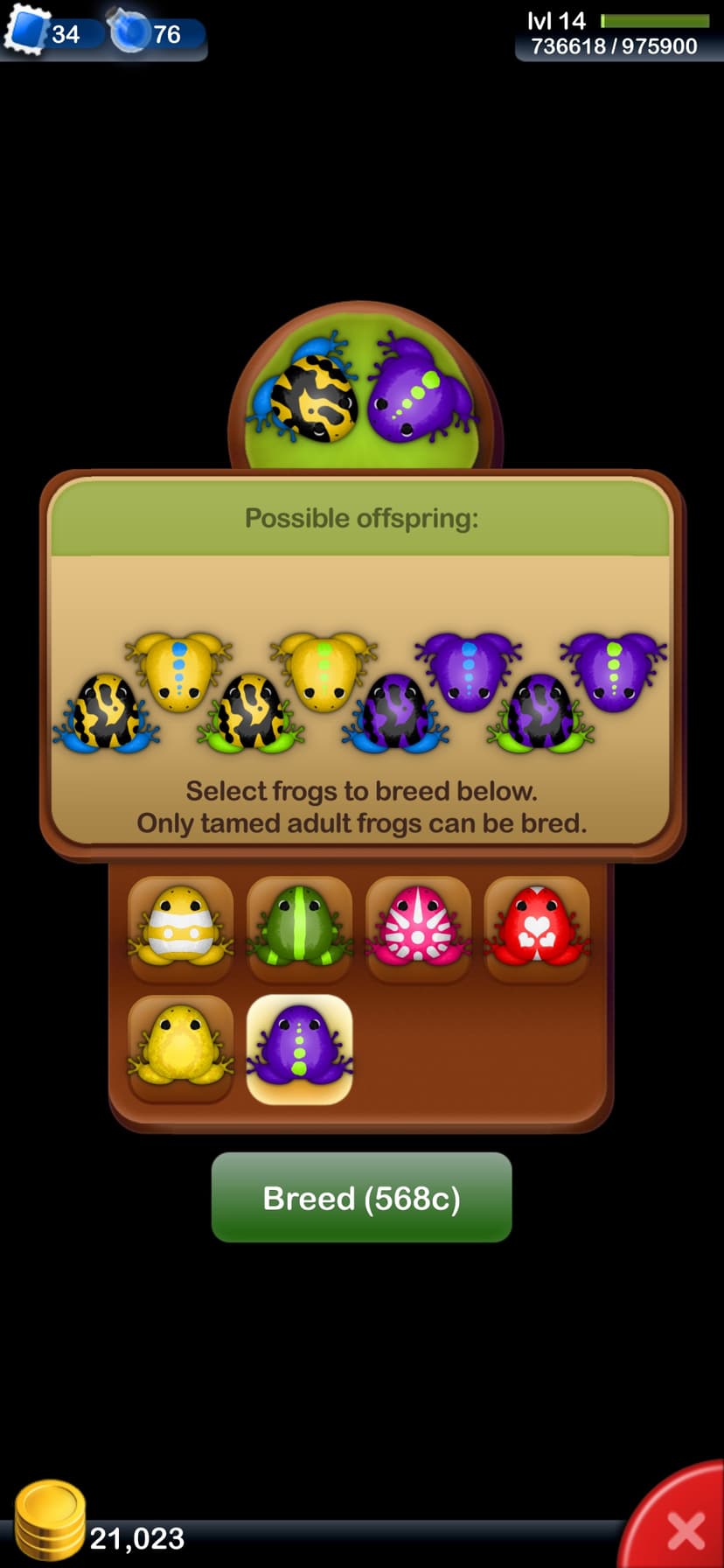 Pocket Frogs: Tiny Pond Keeper screenshot 5 - screenshot