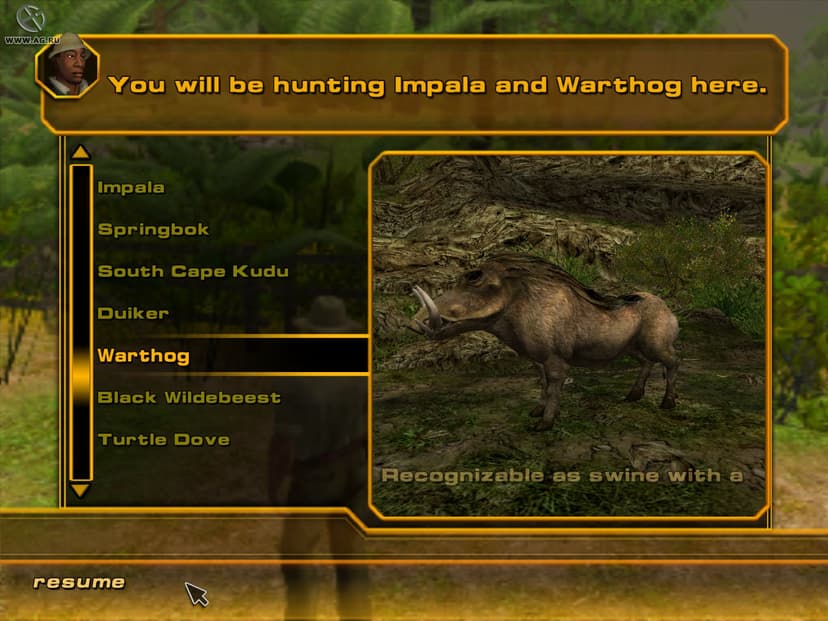 Null - screenshot