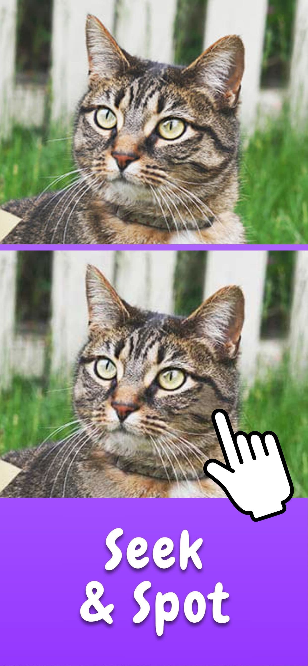 Find the Differences Game ⁺ screenshot 2 - screenshot