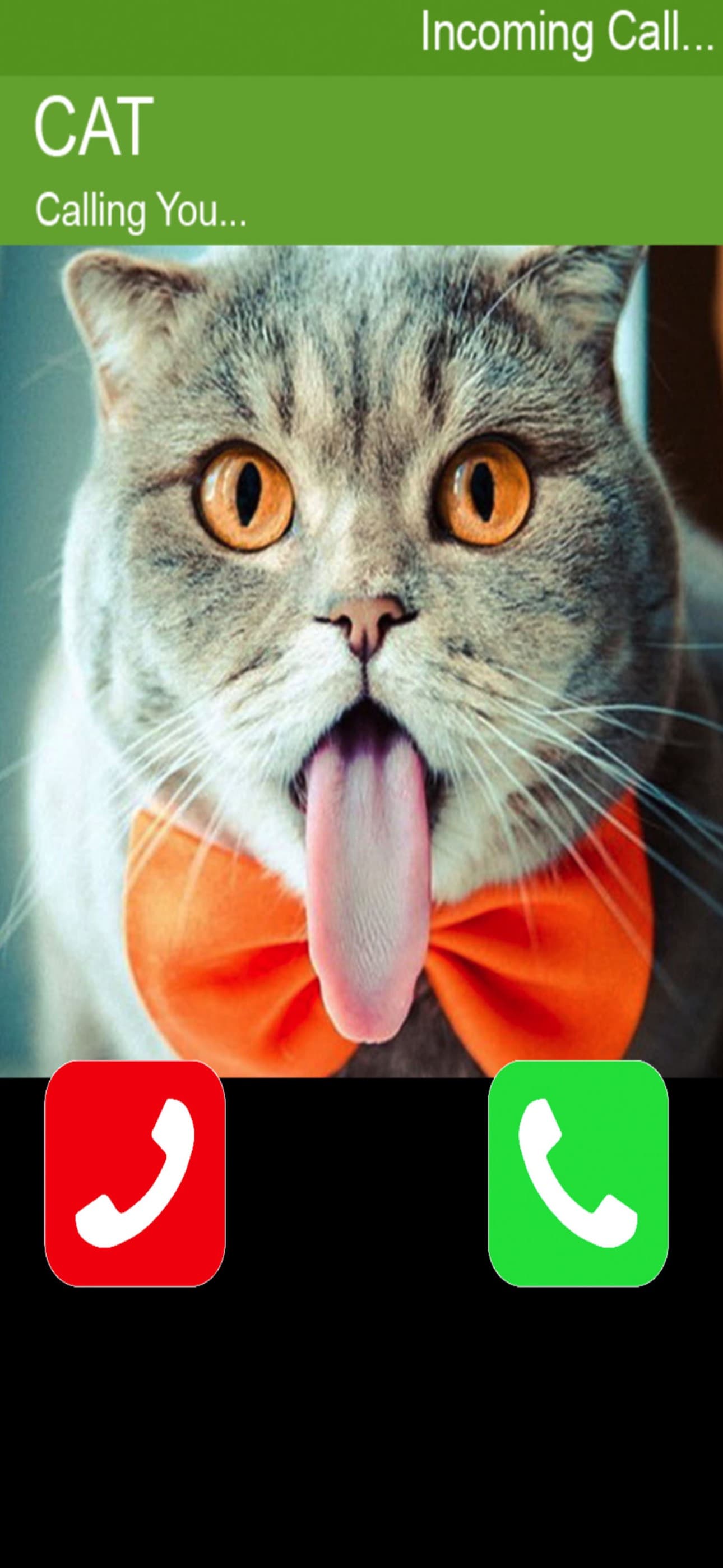 Call Cat 2 screenshot 2 - screenshot