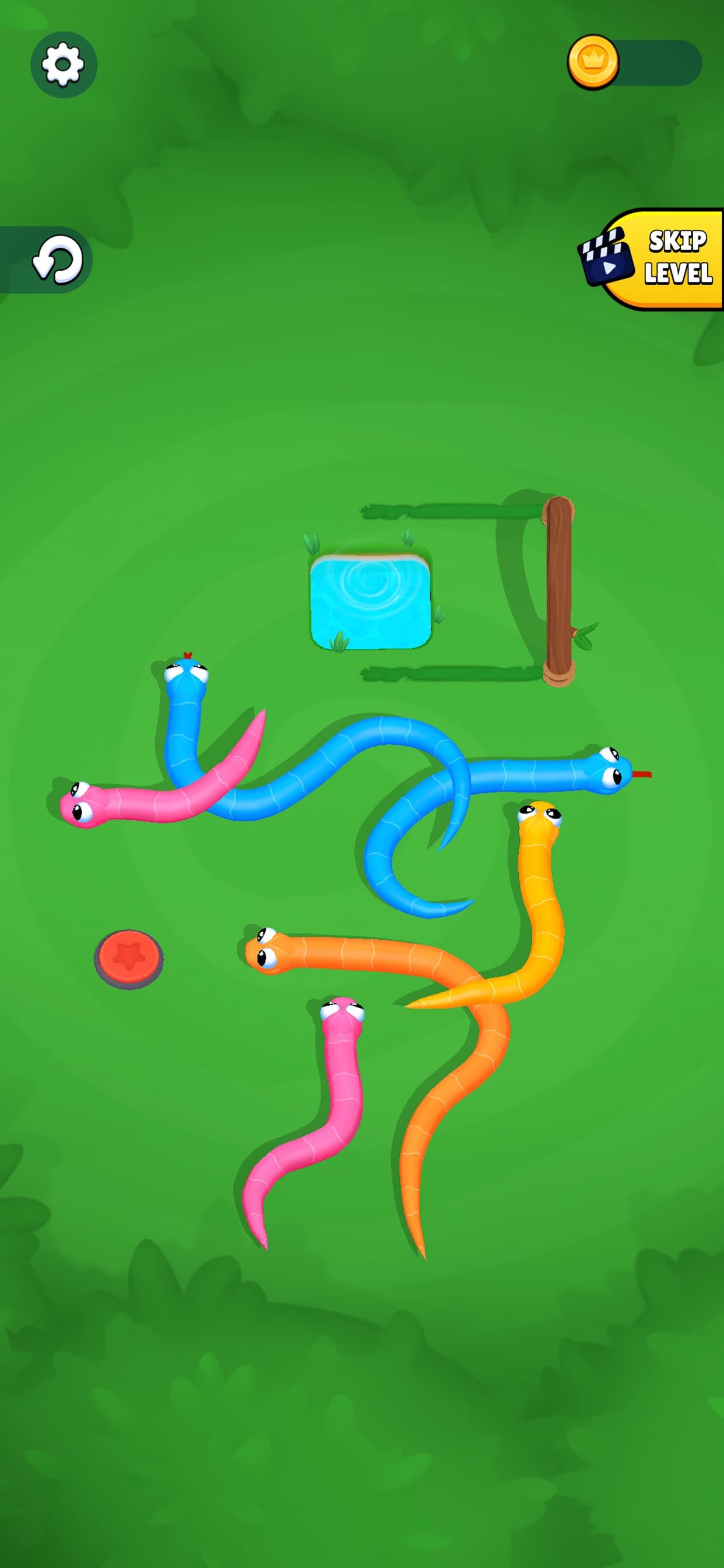 Snake Knot: Sort Puzzle Game screenshot 1 - screenshot