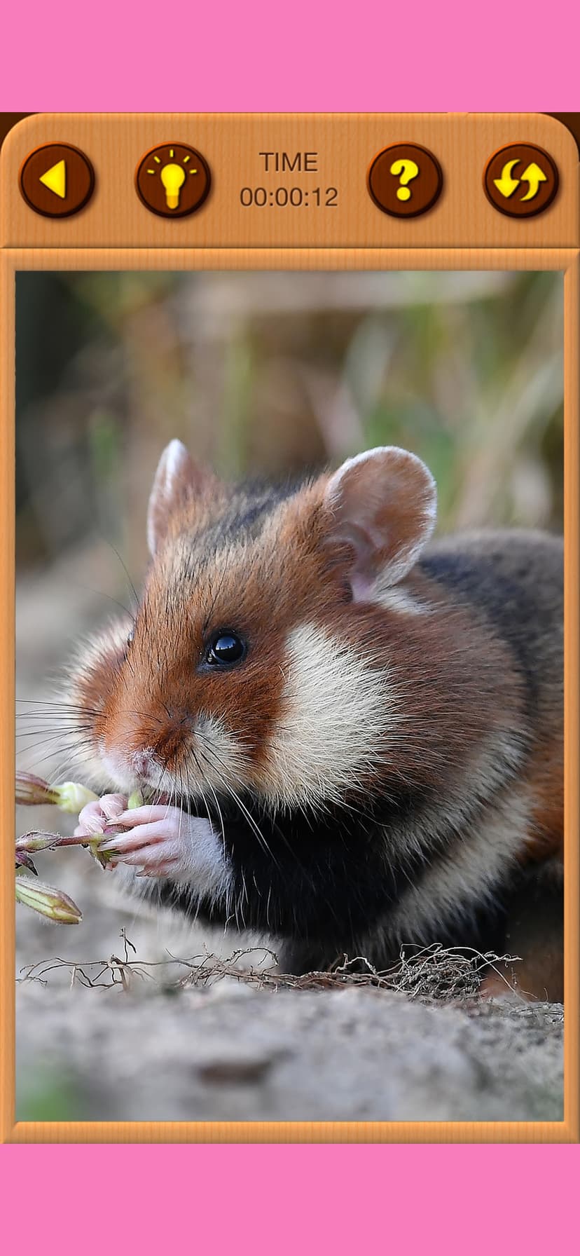 Hamster Jigsaw Puzzle Games screenshot 7 - screenshot