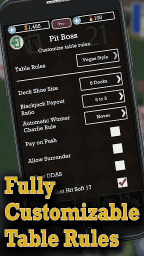 Advanced 21 Blackjack screenshot 4 - screenshot