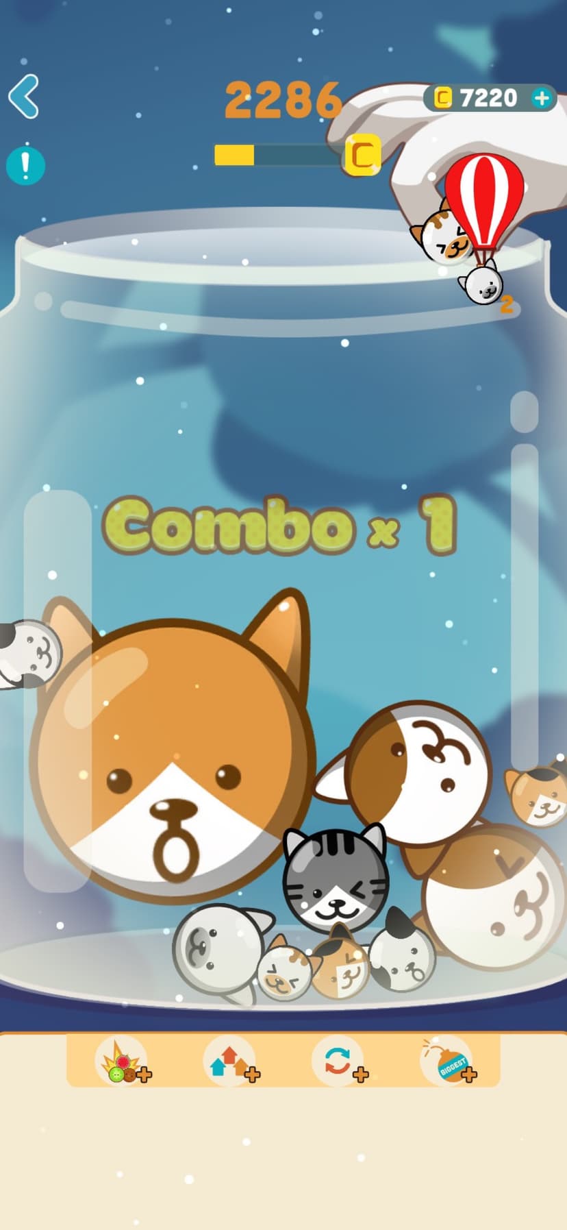 Melon Chill: Fruit Drop screenshot 2 - screenshot
