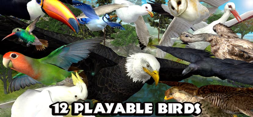 Ultimate Bird Simulator screenshot 3 - screenshot