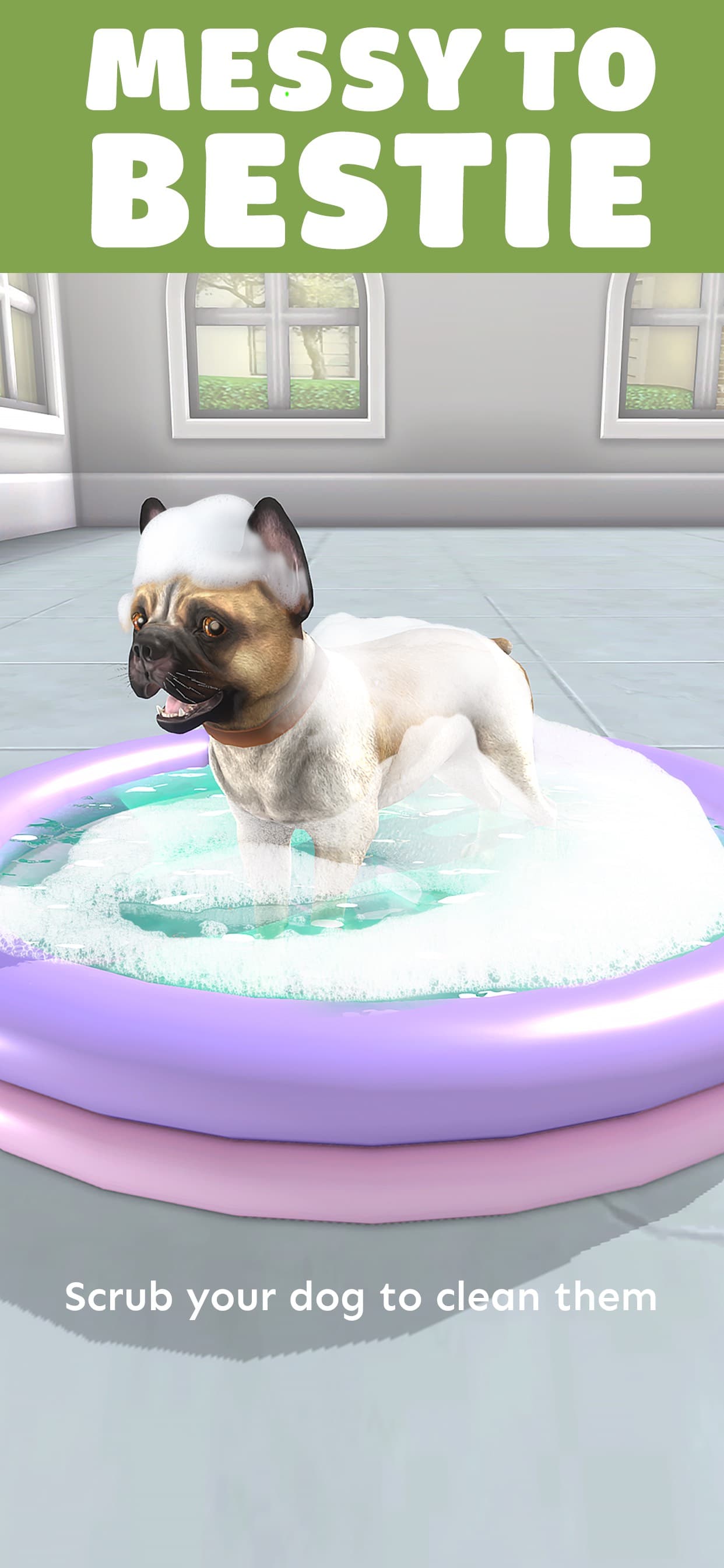 Pocket Paws: My lovely dogs screenshot 6 - screenshot