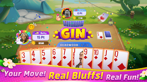 Gin Rummy Frenzy - Card Game screenshot 2 - screenshot