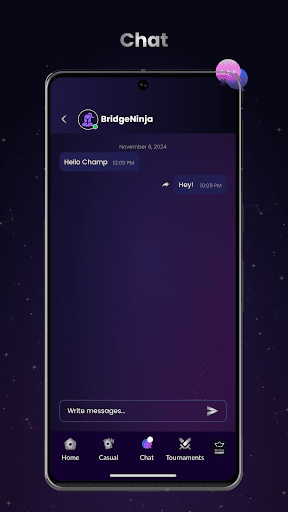 Bridge Champ screenshot 2 - screenshot