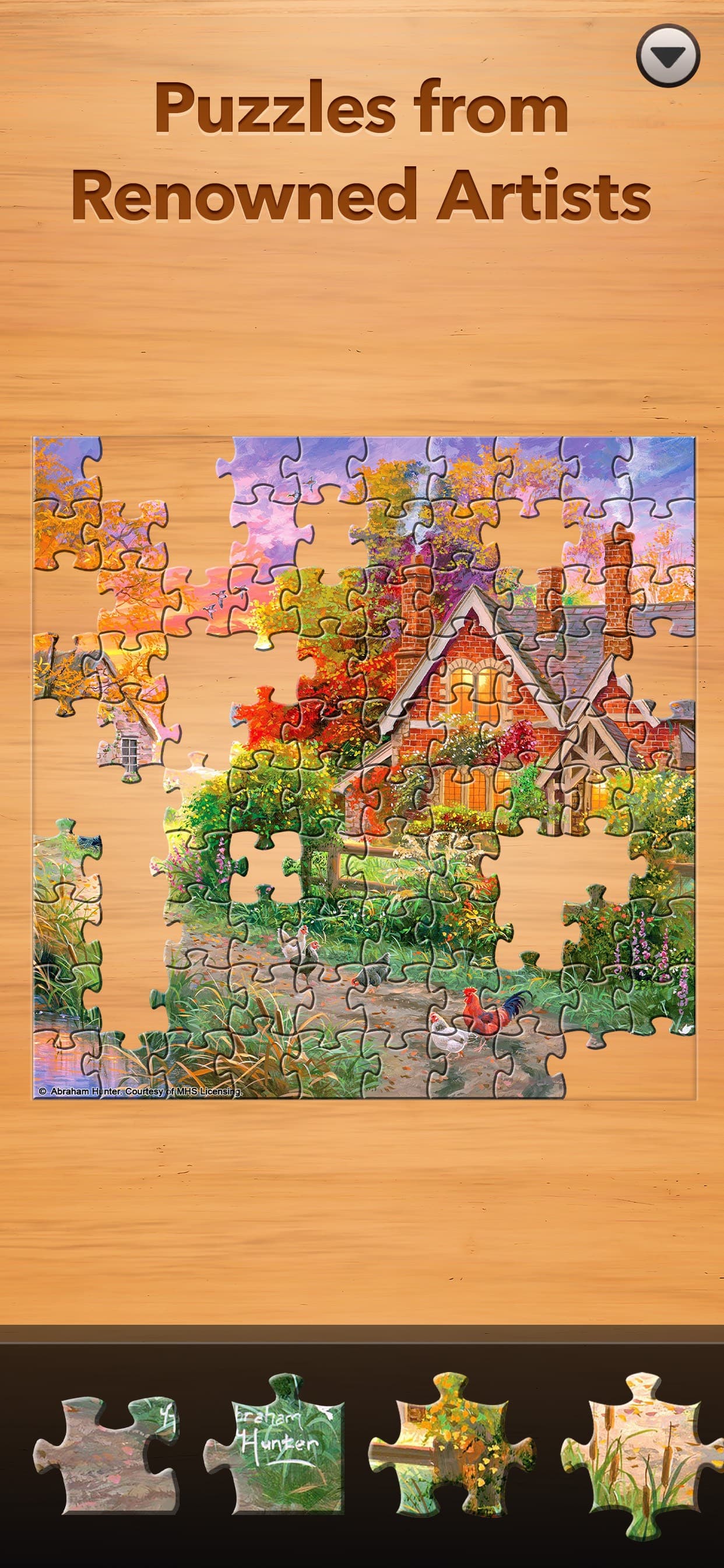 Jigsaw Puzzle Pro screenshot 3 - screenshot
