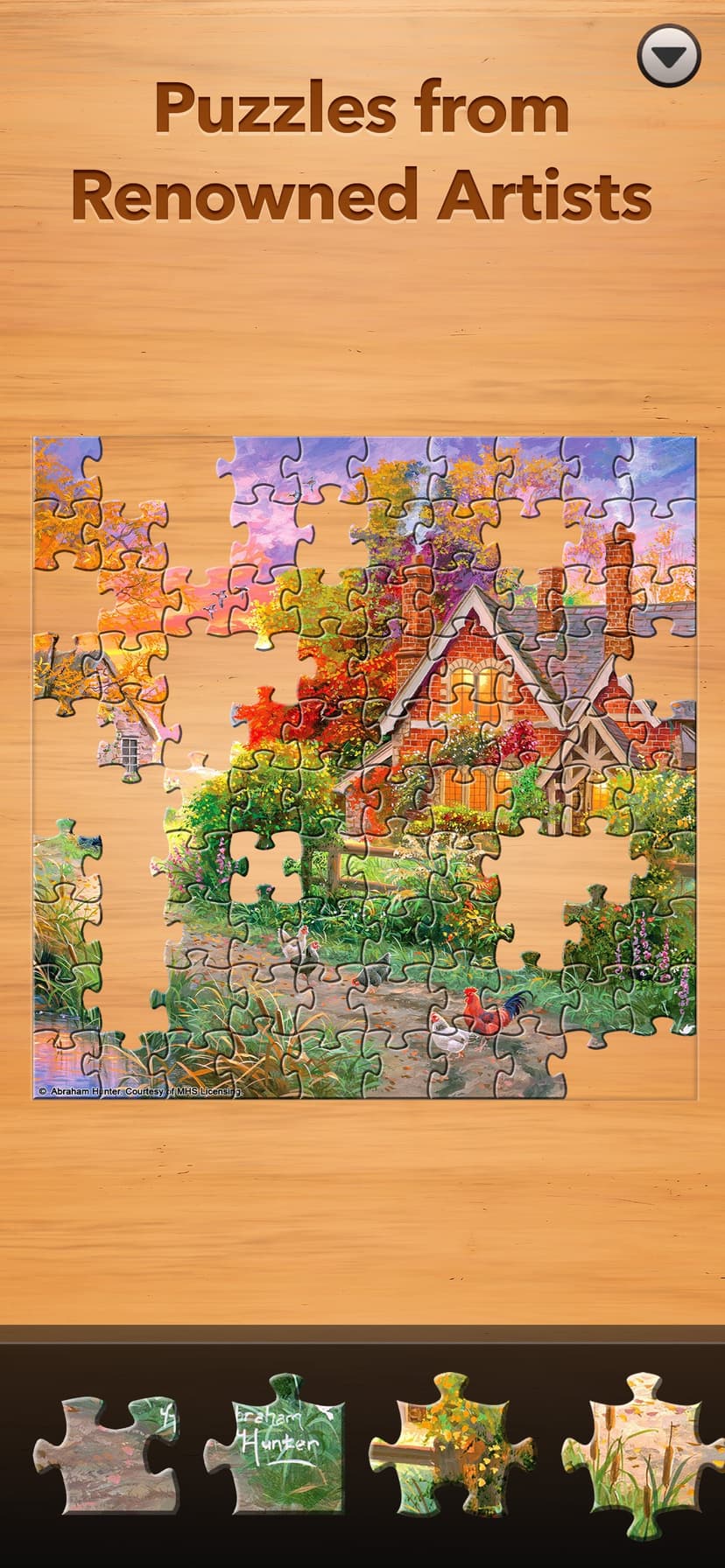 Jigsaw Puzzle Pro screenshot 3 - screenshot