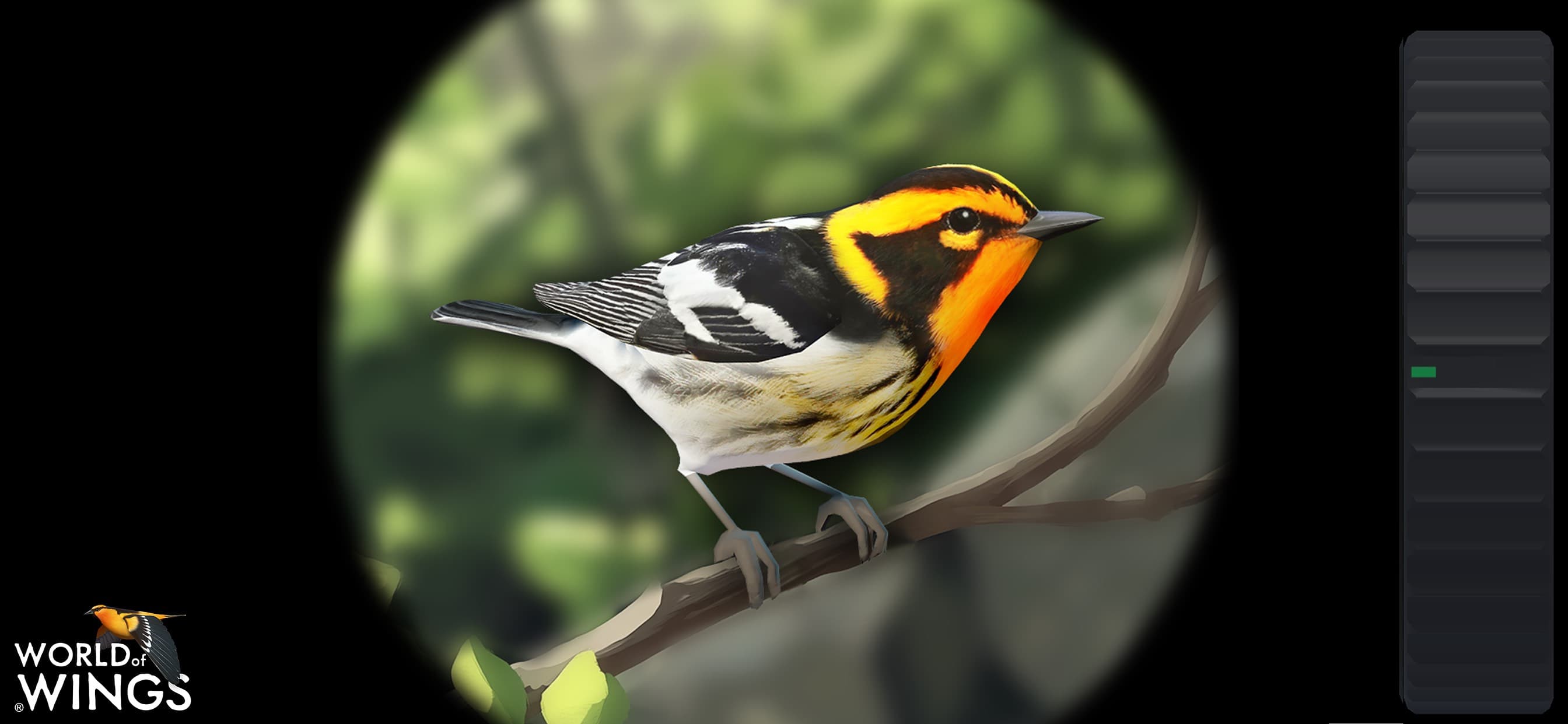 World of Wings screenshot 1 - screenshot