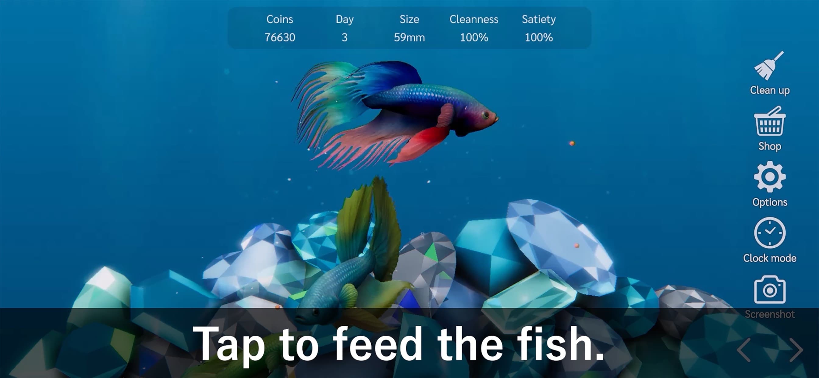 Bettarium - Betta Fish Tank screenshot 2 - screenshot