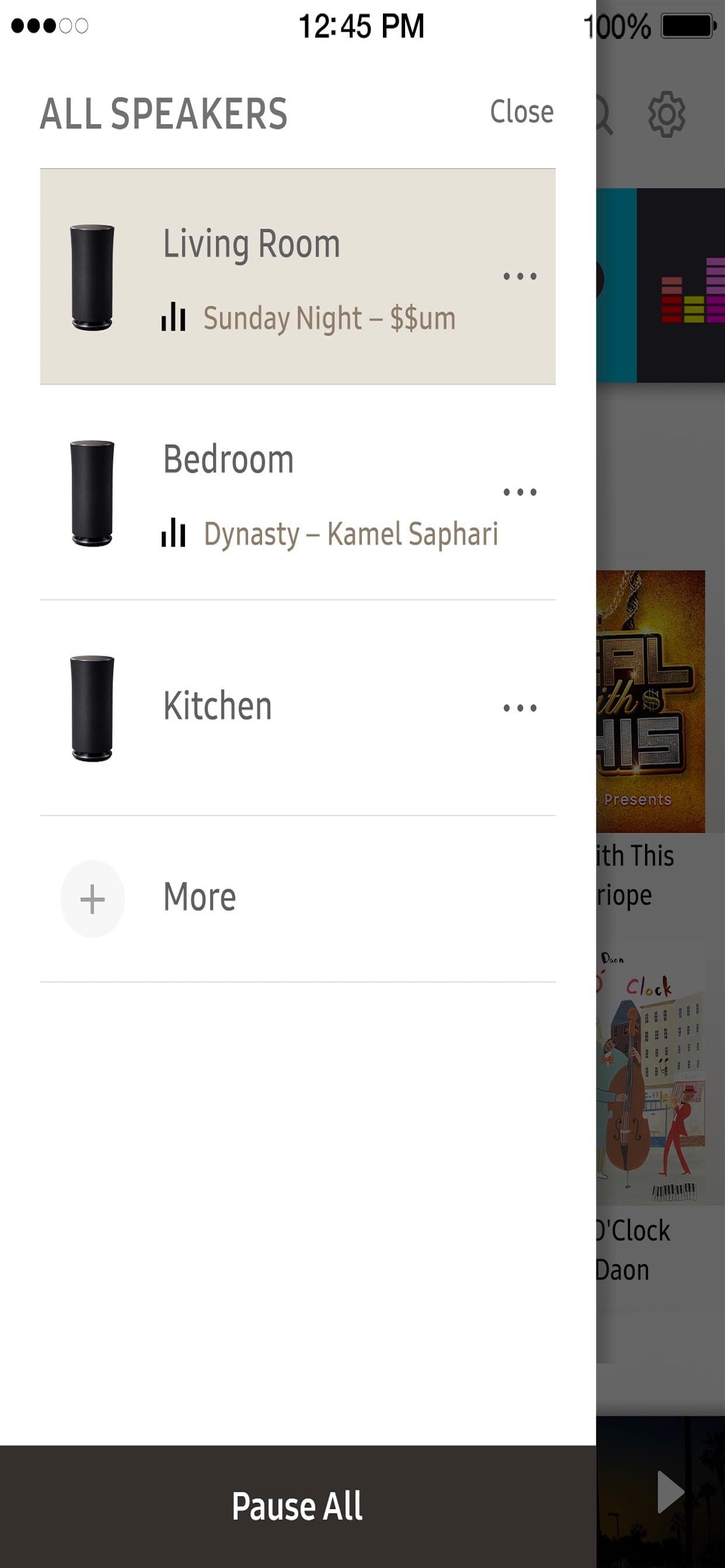 Wireless Audio : Multiroom screenshot 4 - screenshot
