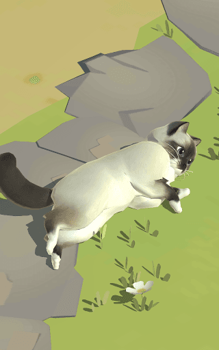 Kitty Cat Resort screenshot 16 - screenshot