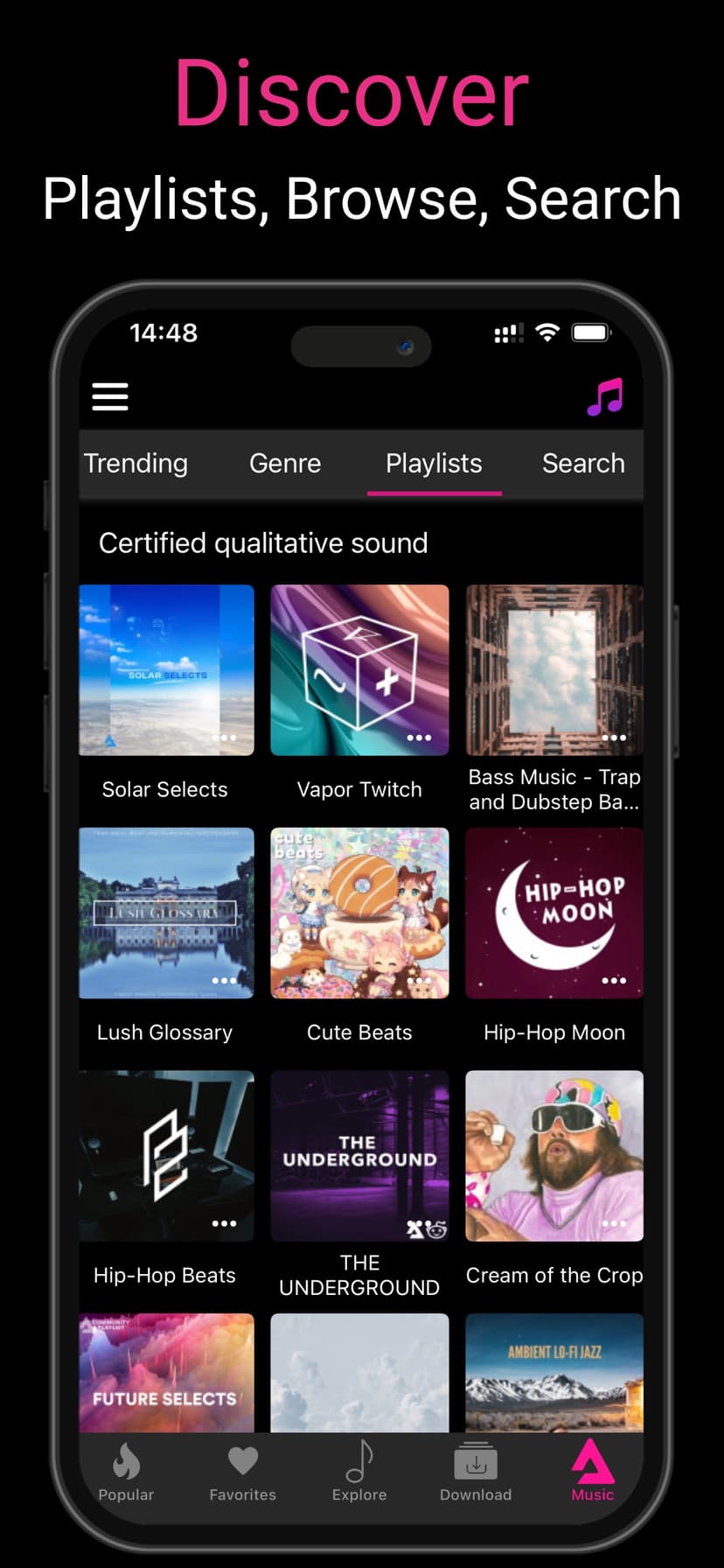 Offline Music Player ‣‣ screenshot 3 - screenshot