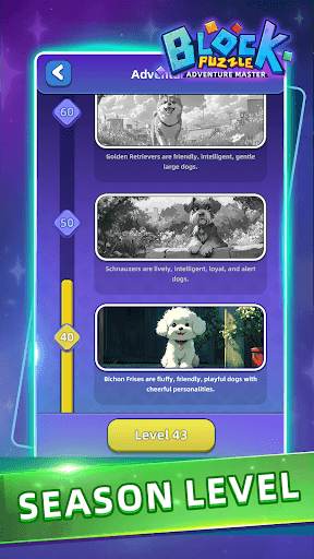 Block Puzzle:Adventure Master screenshot 32 - screenshot