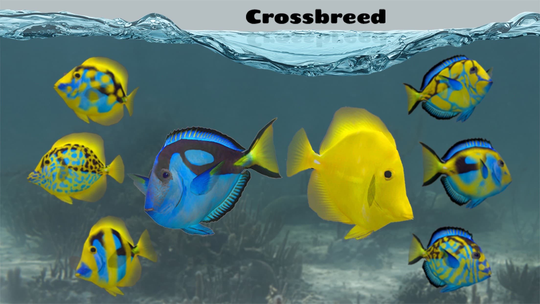 Fish Farm 2 screenshot 4 - screenshot