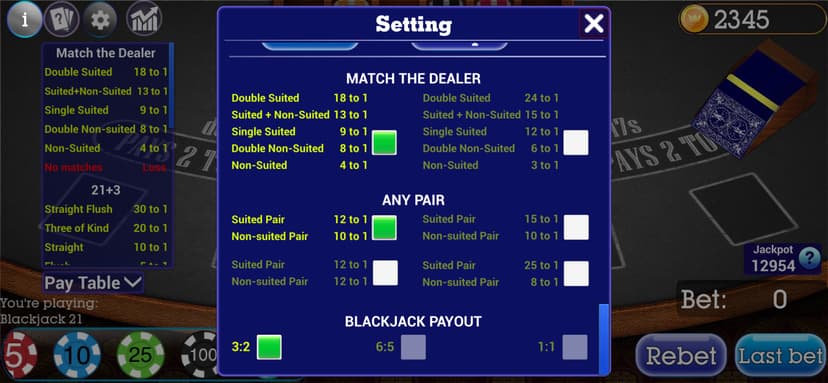 Blackjack 21 Collection screenshot 7 - screenshot