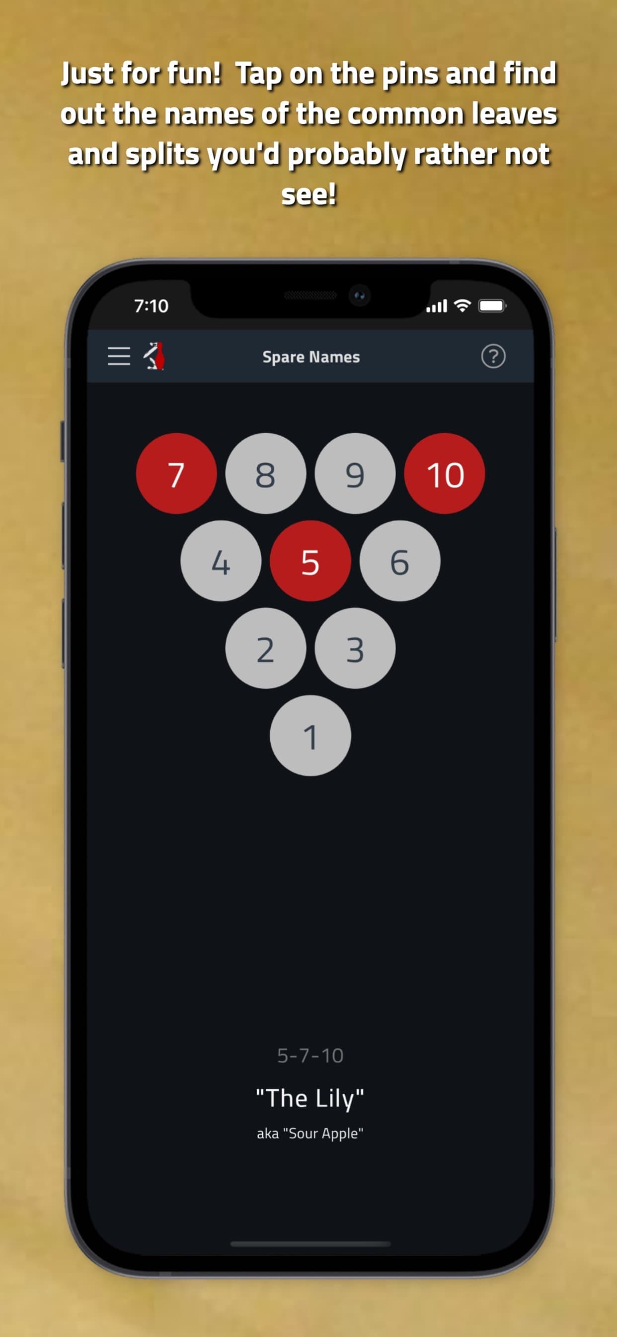 Tenpin Toolkit: Bowling Tools screenshot 10 - screenshot