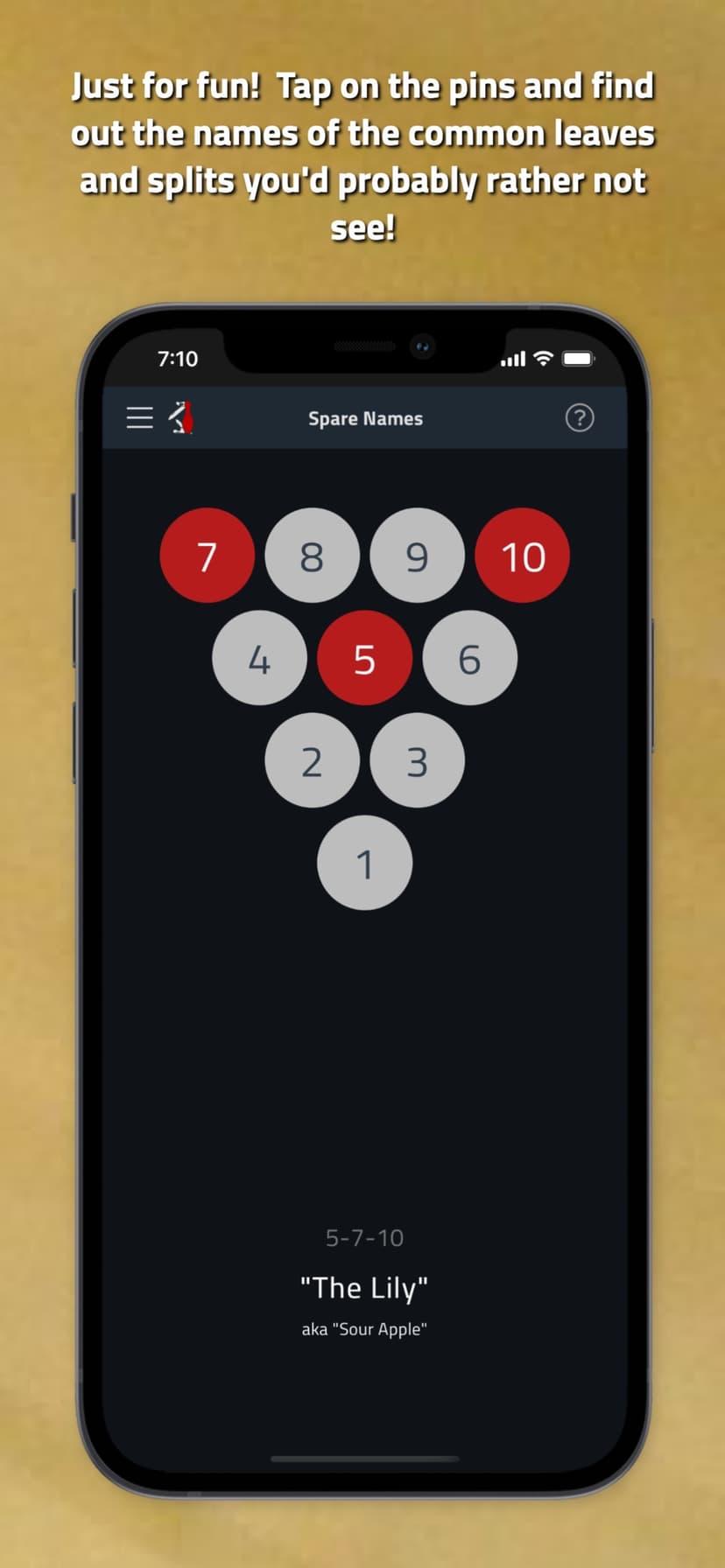 Tenpin Toolkit: Bowling Tools screenshot 10 - screenshot