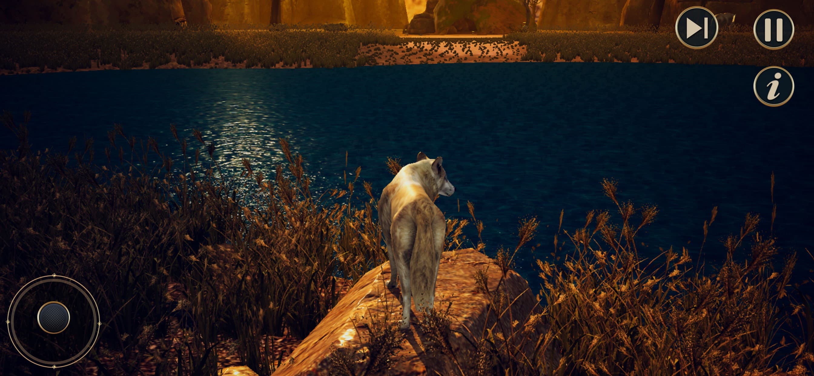 The Wild Wolf Life Simulator screenshot 3 - screenshot