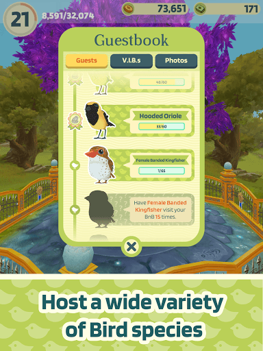 Bird Bed & Breakfast screenshot 10 - screenshot
