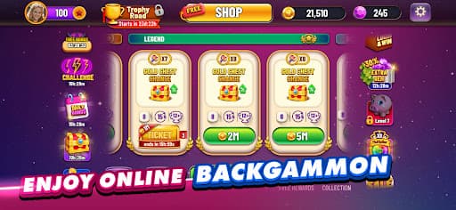 Backgammon Plus - Board Game screenshot 1 - screenshot