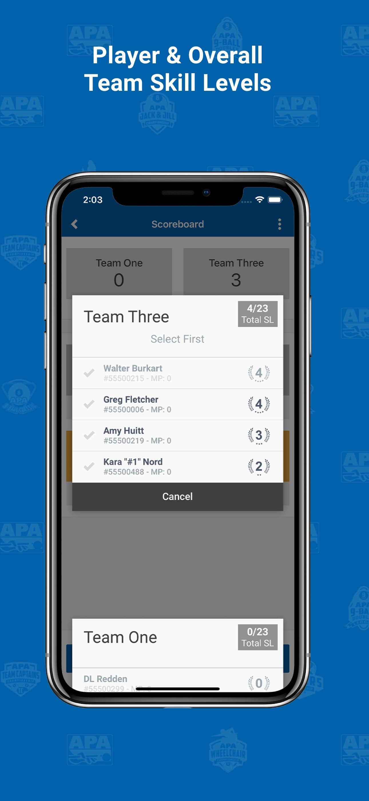 APA Scorekeeper screenshot 7 - screenshot