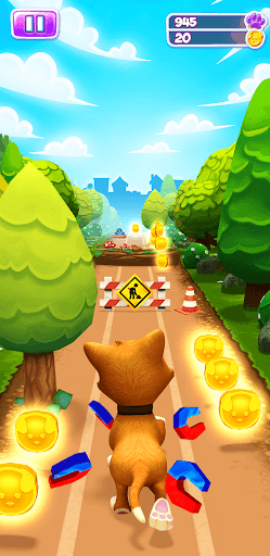 Pet Run - Puppy Dog Game screenshot 9 - screenshot