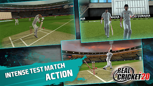 Real Cricket™ 20 screenshot 22 - screenshot