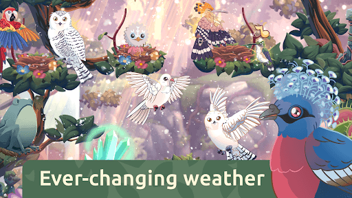 Bird Kind screenshot 25 - screenshot