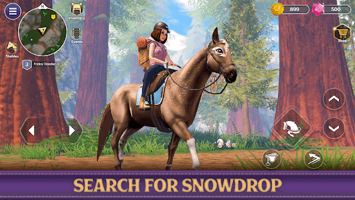 Star Equestrian - Horse Ranch screenshot 13 - screenshot