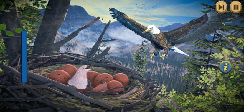 Eagle Bird Wild Life Sim Games screenshot 1 - screenshot