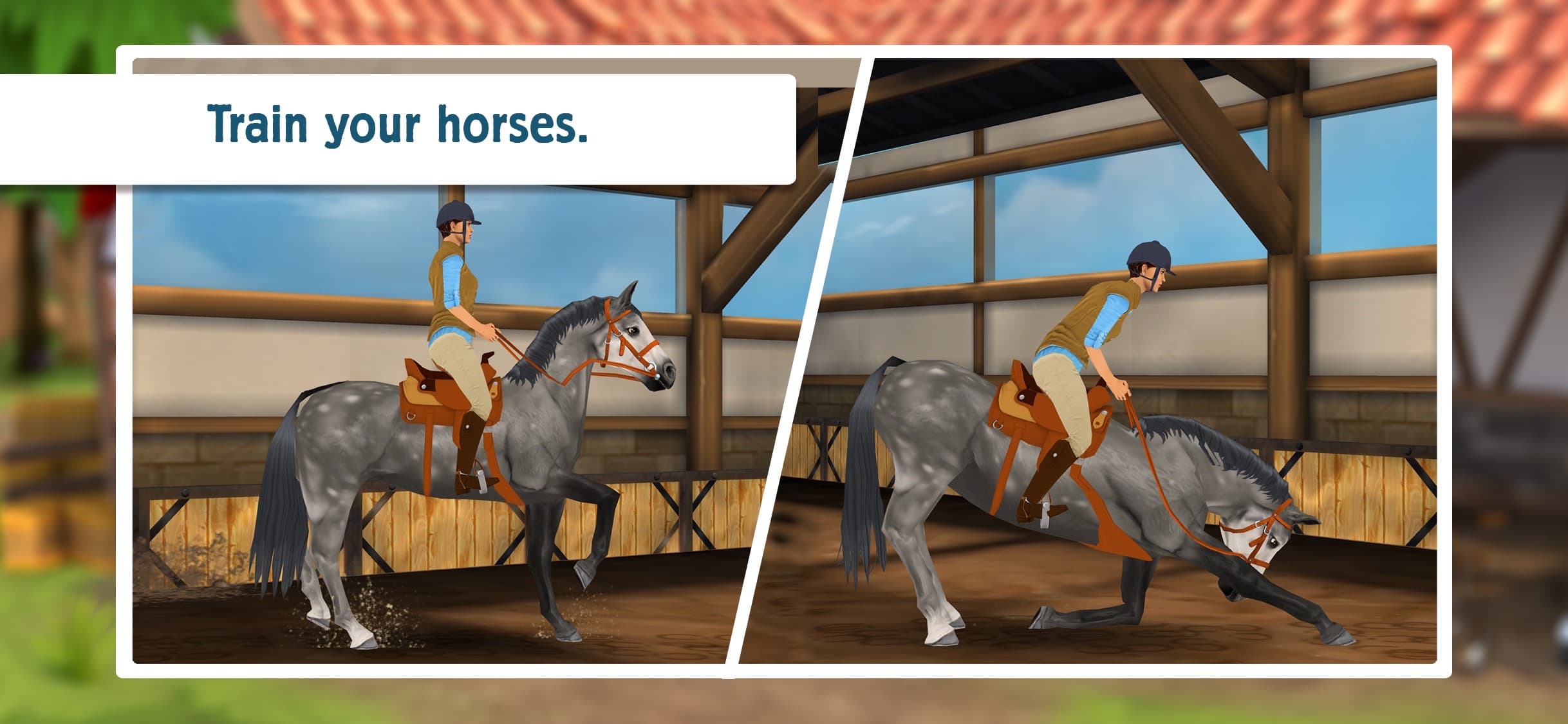 Horse Hotel - care for horses screenshot 5 - screenshot