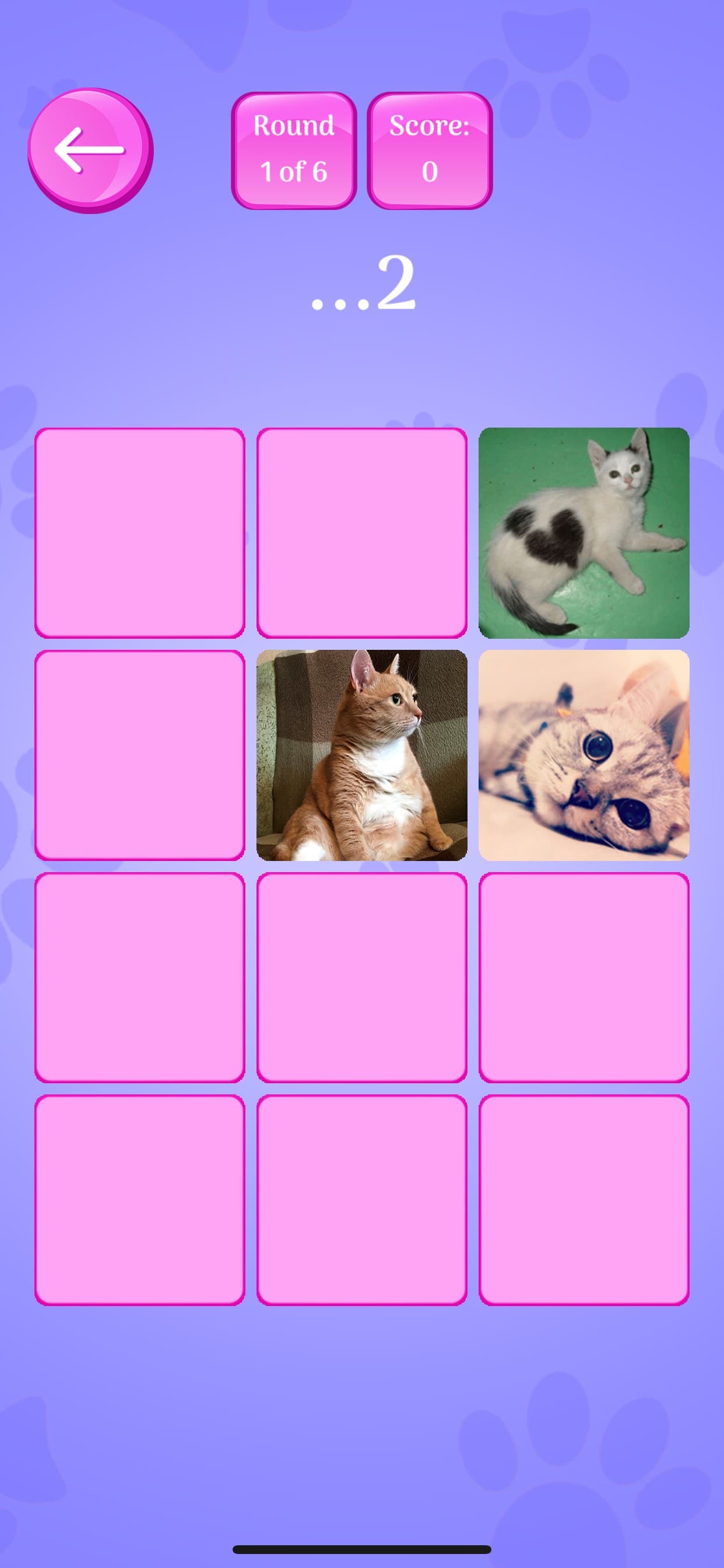Cute Cats Memory Match Game screenshot 4 - screenshot