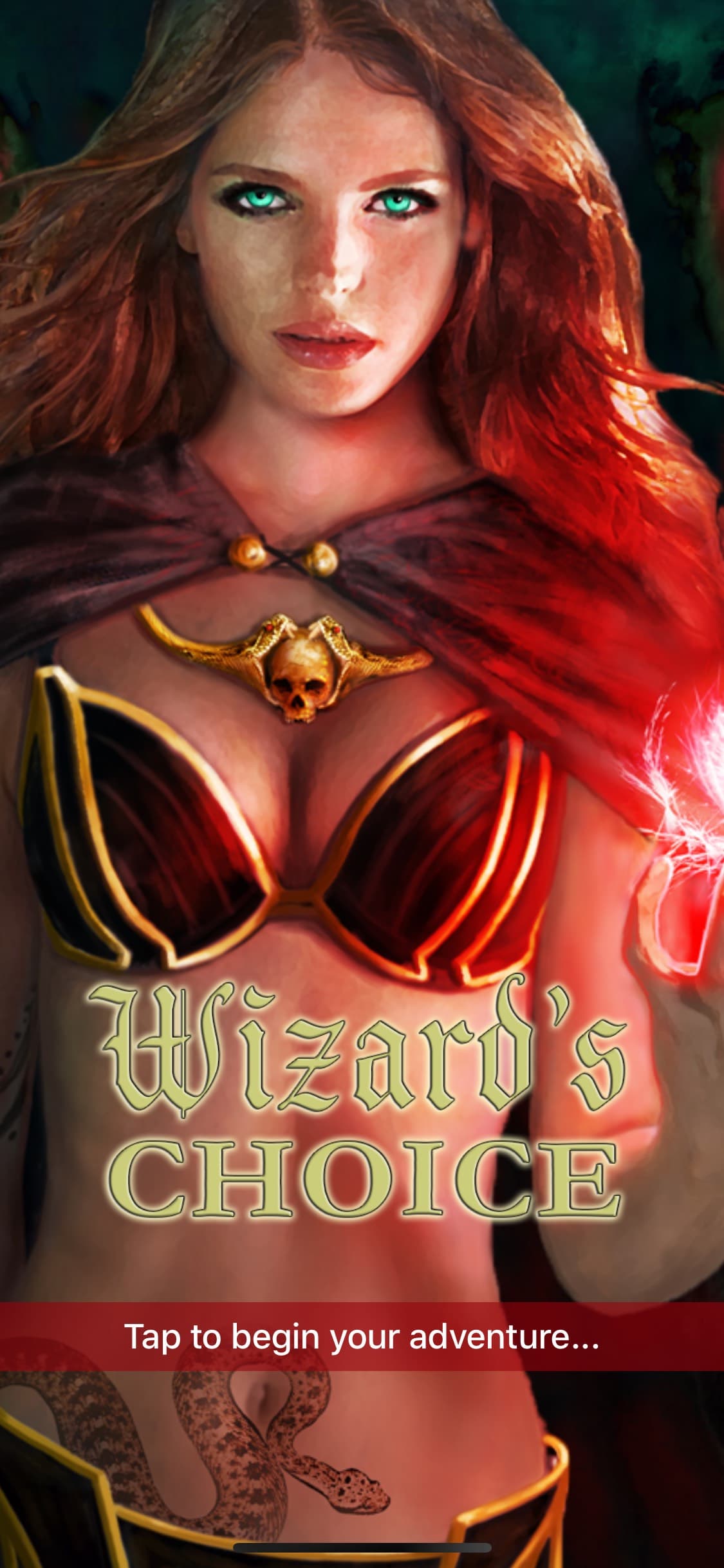 Wizard's Choice screenshot 1 - screenshot