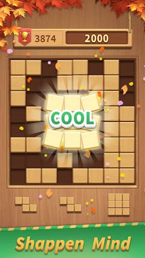 Block Puzzle - Wood Blast screenshot 2 - screenshot