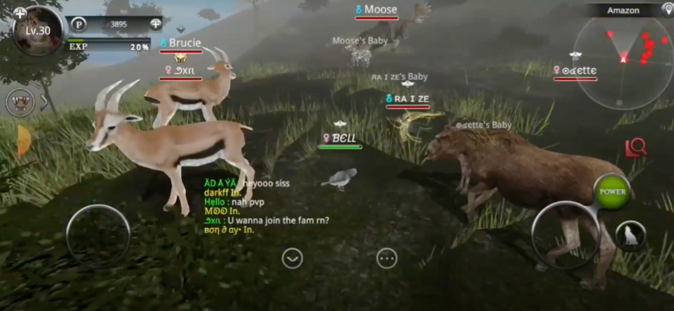 Wild Animals Online(WAO) screenshot 4 - screenshot