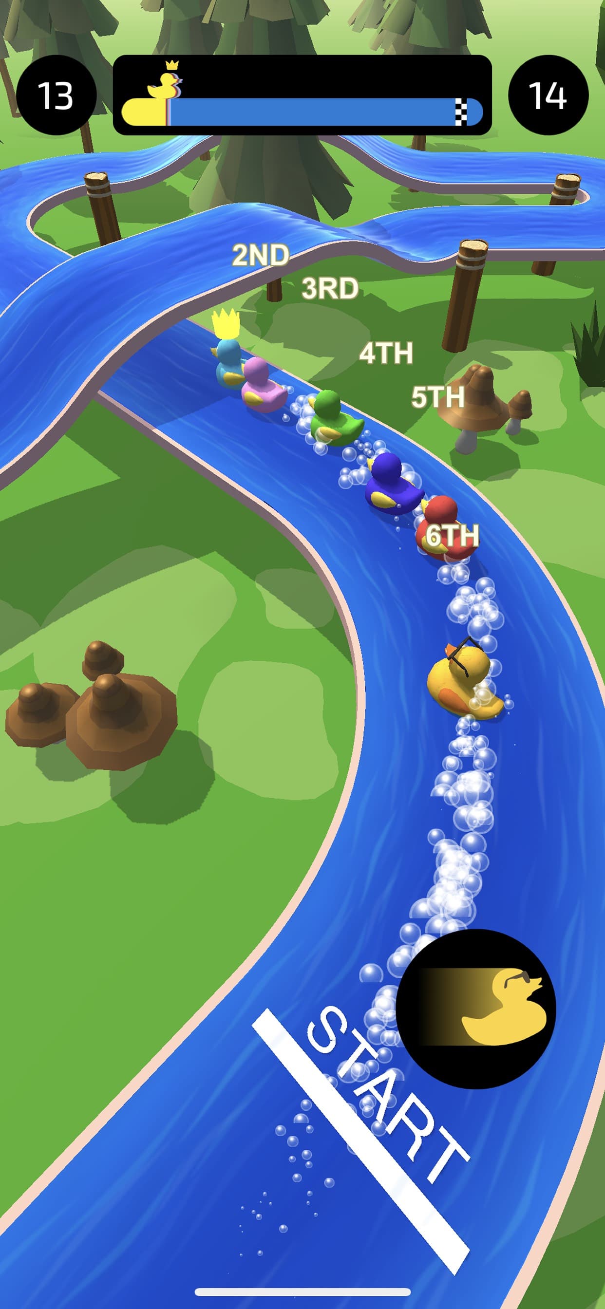Duck Race screenshot 1 - screenshot