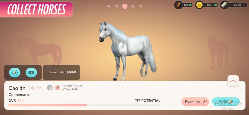 Equestrian the Game screenshot 5 - screenshot